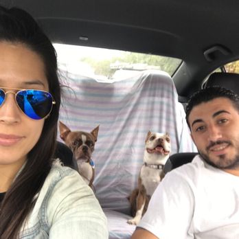 Bark Park - Dog Parks Near Me - Miami, Florida