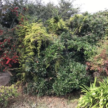 G Tree Service - Hidden house! - Tree Services Near Me