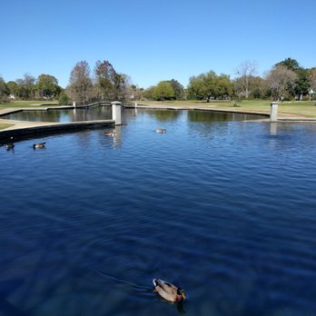 Hampton Park Dog Run - Pretty lake - Dog Parks Near Me - Charleston, South Carolina Hampton Park Dog Run - Pretty lake - Dog Parks Near Me - Charleston, South Carolina