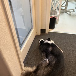 San Andreas Family Dental - Waiting for my patients to arrive