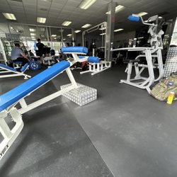 Hollywood Gym & Fitness - Free weights???