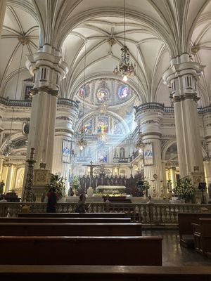 Catedral Basílica de la Asunción de María Santísima by null