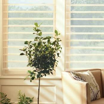 Westrock Window Designs - Shades & Blinds Near Me Westrock Window Designs - Shades & Blinds Near Me