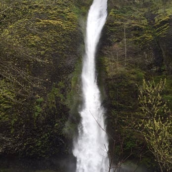 Horsetail Falls - Powerful and Majestic Horsetail Falls - Hiking Near Me - Cascade Locks, Oregon Horsetail Falls - Powerful and Majestic Horsetail Falls - Hiking Near Me - Cascade Locks, Oregon