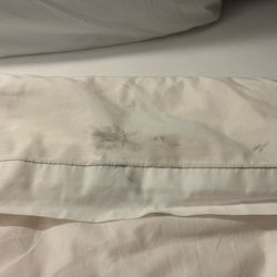 Motel 6 - Someone's shoe mark!?!?