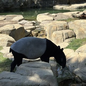 Fresno Chaffee Zoo - Forgot what this is... - Zoos Near Me - Fresno, California Fresno Chaffee Zoo - Forgot what this is... - Zoos Near Me - Fresno, California