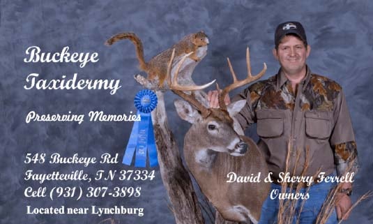 Buckeye Taxidermy - taxidermy in Fayetteville, TN