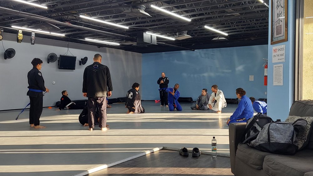 Marcelo Mafra's Brazilian Jiu Jitsu Logo