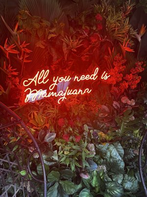Mamajuana cafe by null