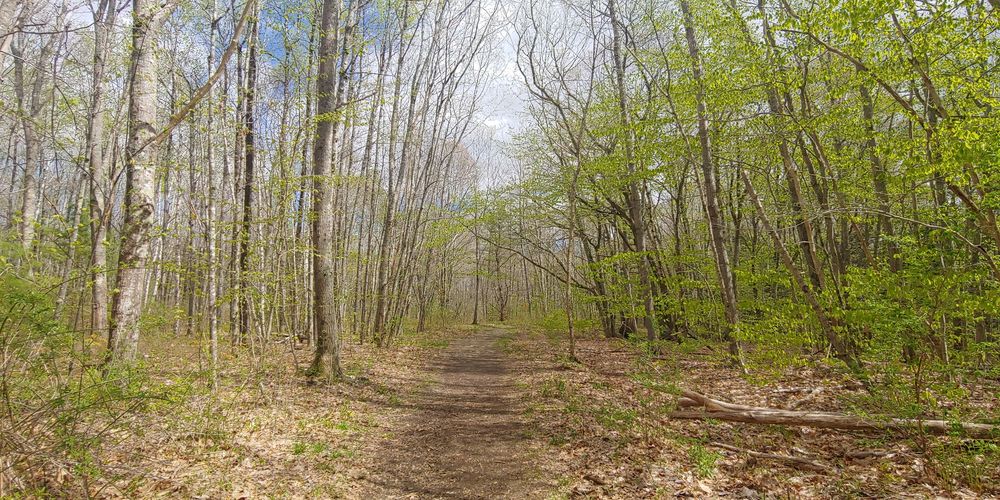 MAQUOIT BAY CONSERVATION LAND Updated August 2024 77 Bunganuc Rd