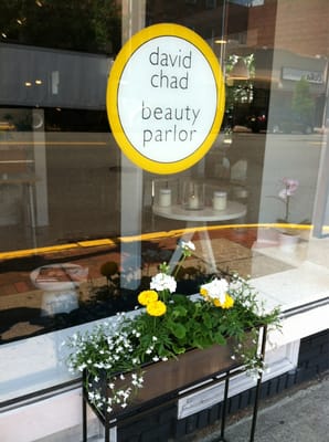 David Chad Beauty Parlor by null