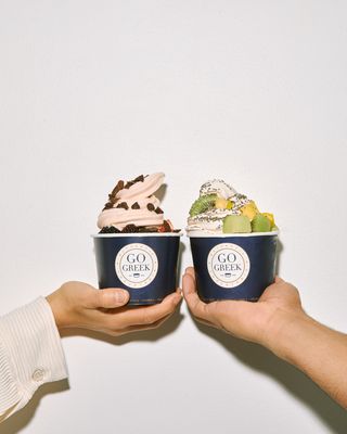 Go Greek Yogurt by null