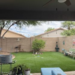 Jakescape - My yard picked up and cleaned
