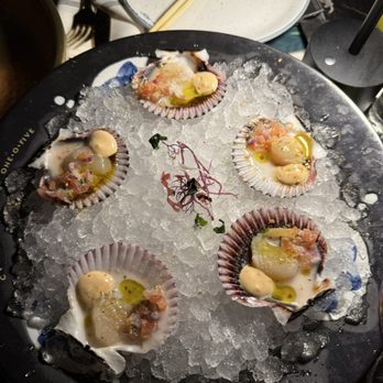 CVI.CHE 105 - Conchas chalacas - Seafood Near Me - Miami Beach, Florida CVI.CHE 105 - Conchas chalacas - Seafood Near Me - Miami Beach, Florida