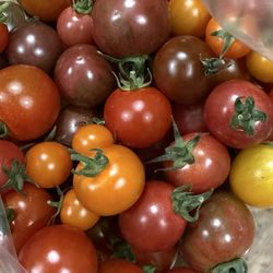 Desert Stream Farm - Today's haul, may be the last of the year.