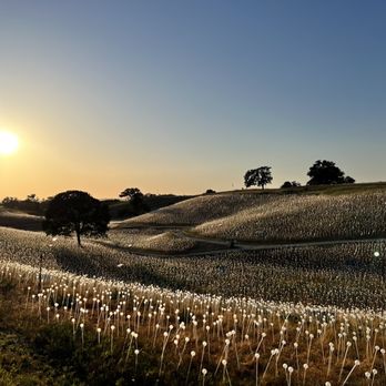Sensorio - Waiting for the sun to set - Art Galleries Near Me - Paso Robles, California Sensorio - Waiting for the sun to set - Art Galleries Near Me - Paso Robles, California