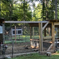 Chicken coop