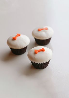 Sprinkles Plano by null