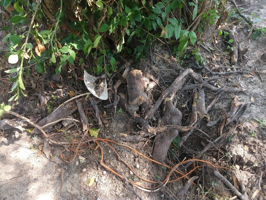 Slide of All American Pumping & Drain