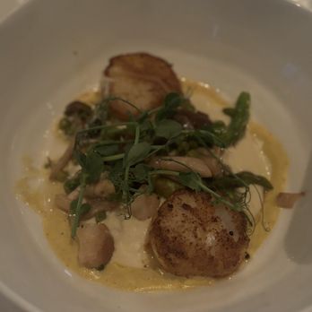 Mise En Place - New American Near Me - Tampa, Florida Mise En Place - New American Near Me - Tampa, Florida