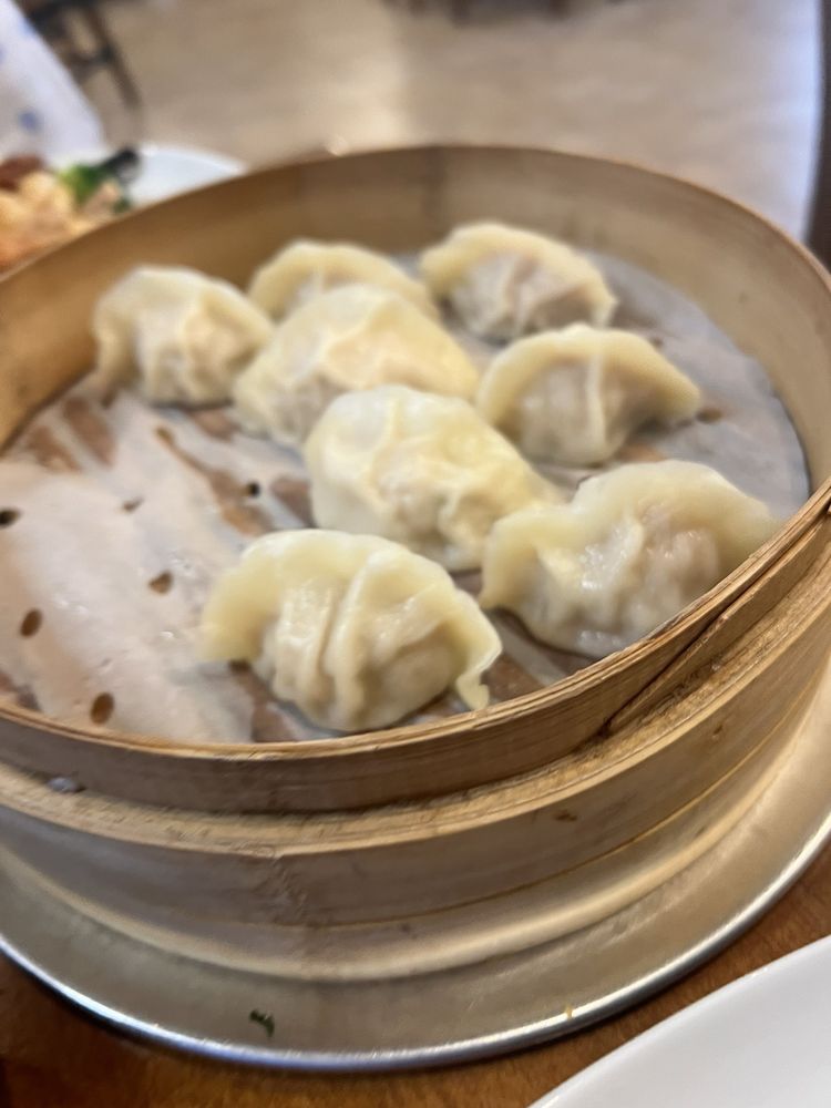 STEAM DUMPLING Updated July 2024 28 Photos & 21 Reviews 6645 S