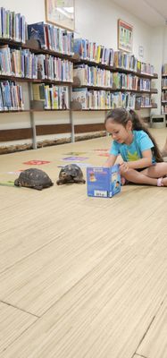Coconut Grove Branch Library by null