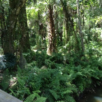 Lupon Boggy Bottom - The woods - Venues & Event Spaces Near Me - Plant City, Florida Lupon Boggy Bottom - The woods - Venues & Event Spaces Near Me - Plant City, Florida