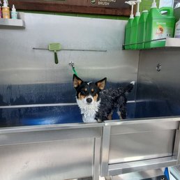 Kya's bath time! Kya's bath time!