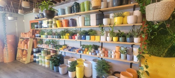 The Living Room by null