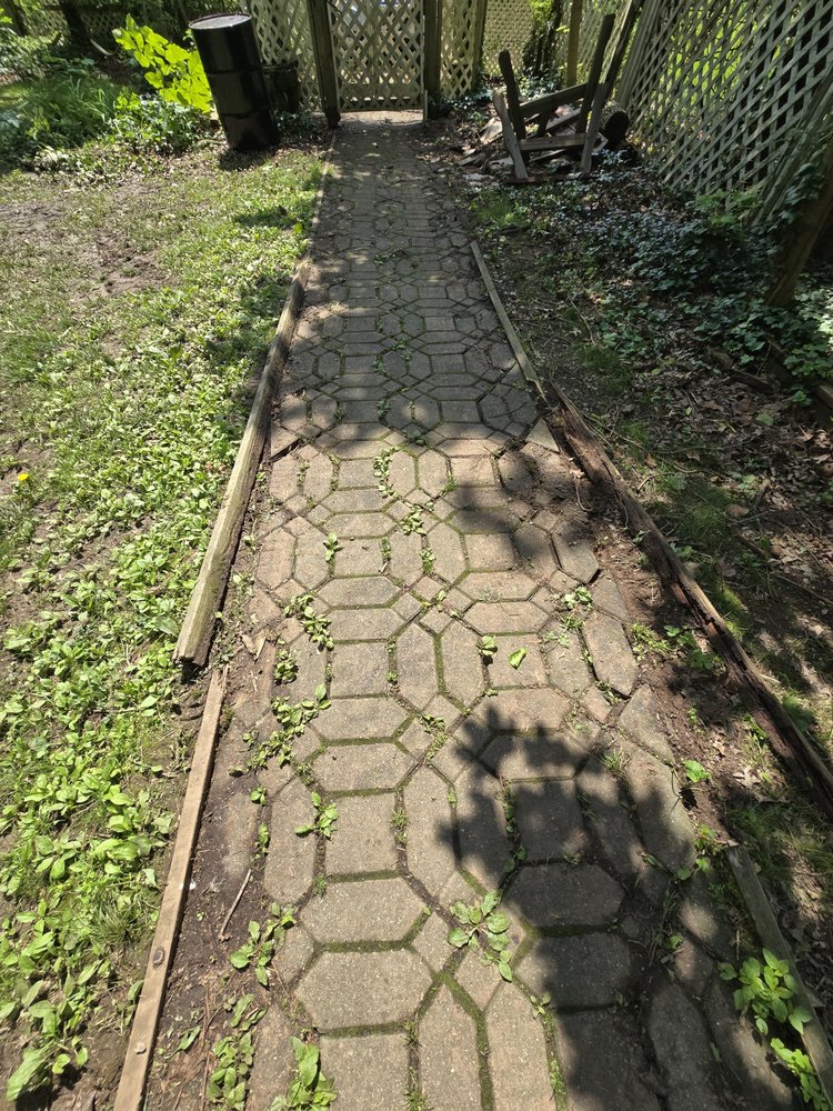 Arrow Tree Service - tree service in Telford, PA