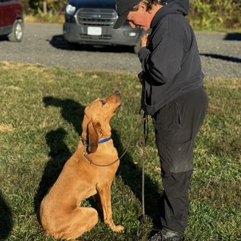 Keon K9 - Pet Training Near Me