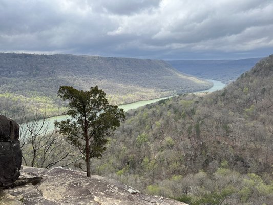 Signal Point Trail by null