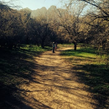 Catalina State Park - Parks Near Me - Tucson, Arizona Catalina State Park - Parks Near Me - Tucson, Arizona