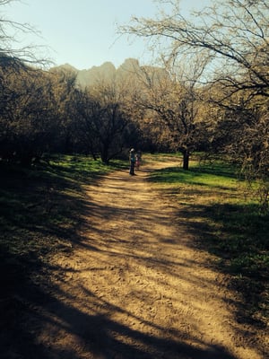 Catalina State Park by null
