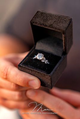 West Coast Diamond & Gem Inc