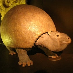 Museum Mensch und Natur