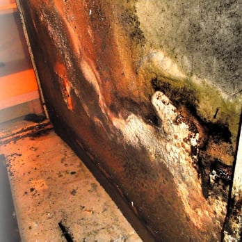ORC Services - Mold damage - General Contractors Near Me - Sebastian, Florida