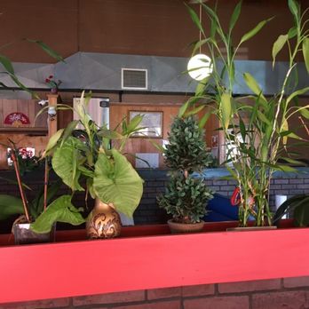 Chinaway Restaurant - I wish more places had more plants. - Chinese Near Me - Newport, Maine Chinaway Restaurant - I wish more places had more plants. - Chinese Near Me - Newport, Maine