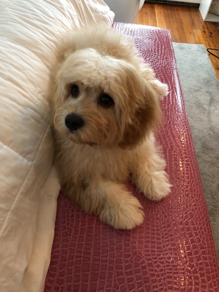 BEANTOWN BED & BISCUIT Updated September 2024 19 Photos & 72