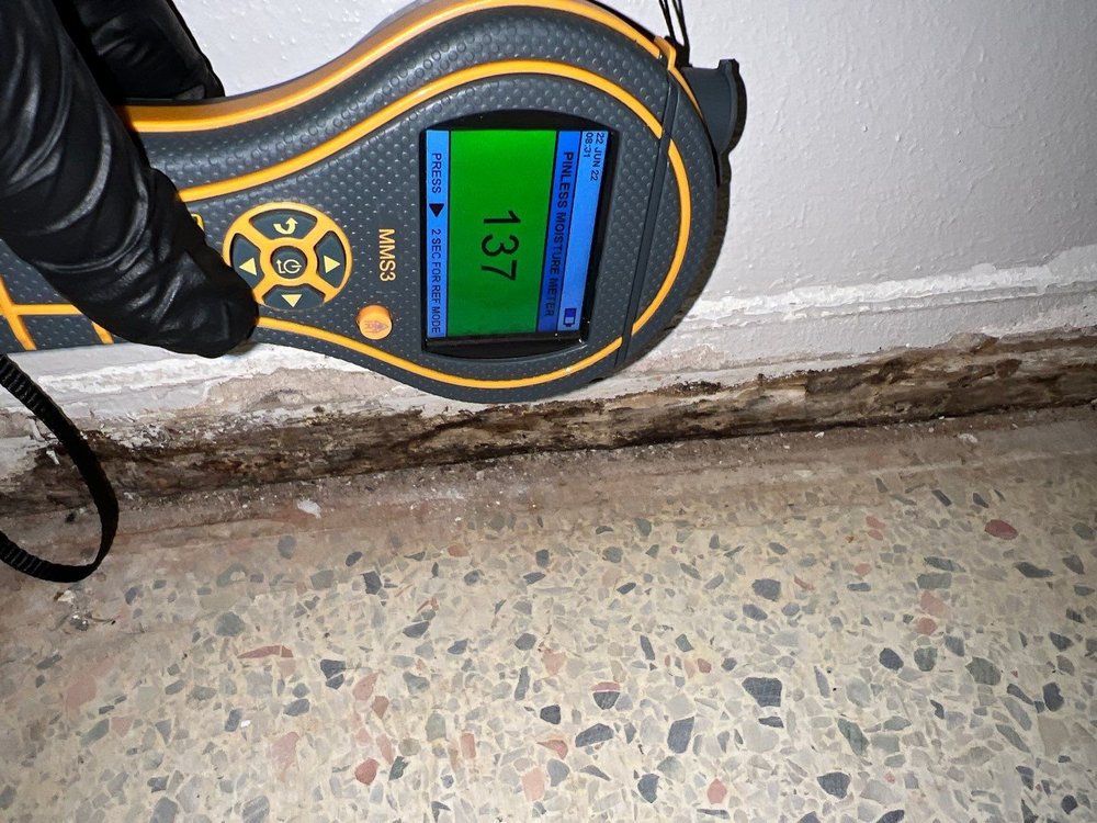 Engage Mold Solutions of Florida - mold inspector in Tampa, FL