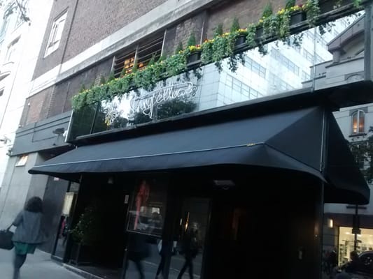 STRINGFELLOWS - Updated July 2025 - 13 Photos - 16-19 Upper St Martin's ...