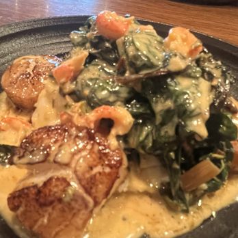 Black's Bar & Kitchen - Pan Seared Day Boat Scallops - New American Near Me - Bethesda, Maryland