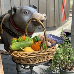 Ruby Hill Farm - Organic picks!