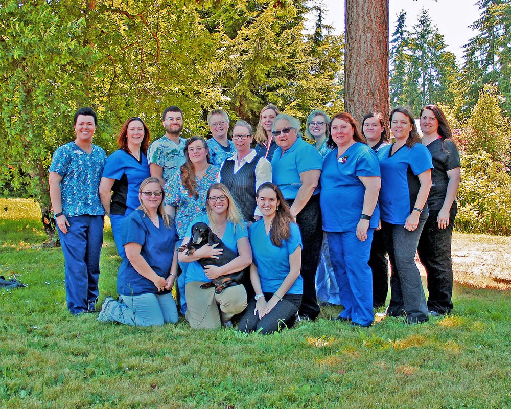 HADLOCK VETERINARY CLINIC Veterinarians 842 Ness Corner Rd, Port