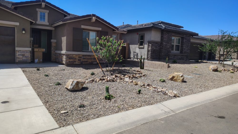 Big Ants Landscaping - tree service in Marana, AZ