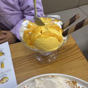 Mango Mango Dessert - Mango Sundae - Desserts Near Me - Plainview, New York