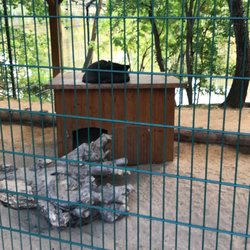 Insel-Zoo