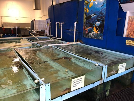 Alioto Lazio Fish Co by null