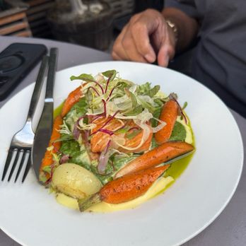 Openaire - salmon - New American Near Me - Los Angeles, California