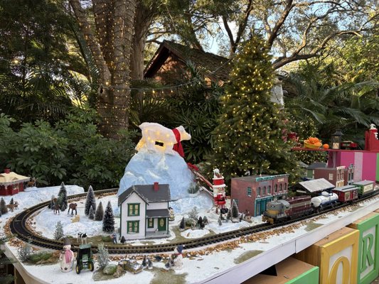 Busch Gardens Tampa Bay by null